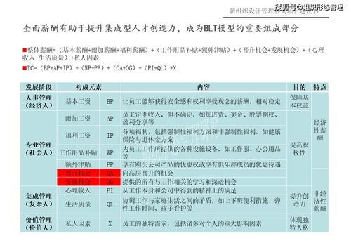 新組織設(shè)計(jì)管理咨詢項(xiàng)目建議書 項(xiàng)目策劃與公關(guān)服務(wù)